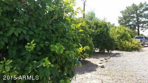 2839 E Kramer St, Mesa, AZ 85213 photo 8