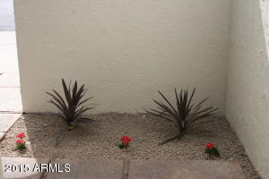 1220 E Palacio Ln, Phoenix, AZ 85014 photo 3