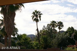 4465 E Olney Dr, Phoenix, AZ 85044 photo 14