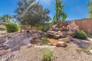 347 E Cactus Wren Ct, Casa Grande, AZ 85122 photo 28