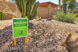 347 E Cactus Wren Ct, Casa Grande, AZ 85122 photo 29