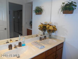 3336 E Hampton Ave, Mesa, AZ 85204 photo 15