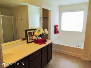 11037 E Silver Springs Ave, Mesa, AZ 85212 photo 10