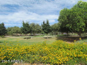 11037 E Silver Springs Ave, Mesa, AZ 85212 photo 21