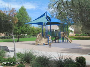 11037 E Silver Springs Ave, Mesa, AZ 85212 photo 20