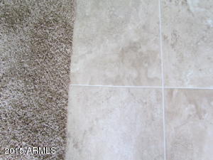 11037 E Silver Springs Ave, Mesa, AZ 85212 photo 15