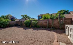 3229 E Oraibi Dr, Phoenix, AZ 85050 photo 31