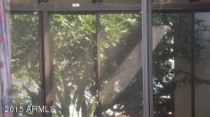 1304 E Commodore Pl, Tempe, AZ 85283 photo 81