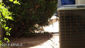 1304 E Commodore Pl, Tempe, AZ 85283 photo 85
