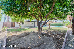 3010 E Cheryl Dr, Phoenix, AZ 85028 photo 31