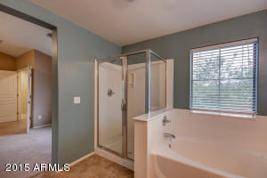 3896 E Melrose St, Gilbert, AZ 85297 photo 31