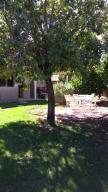 224 E Julie Dr E, Tempe, AZ 85283 photo 25