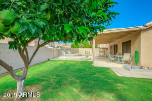 2329 E Rockledge Rd, Phoenix, AZ 85048 photo 3
