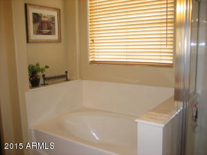9708 E Golden St, Mesa, AZ 85207 photo 15