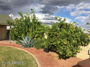 4135 E Jicarilla St, Phoenix, AZ 85044 photo 19