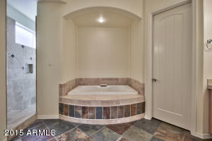 3529 E Robin Ln, Phoenix, AZ 85050 photo 8