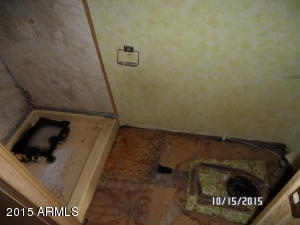 9135 E Butternut Ave, Mesa, AZ 85208 photo 25