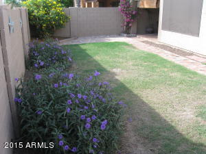 4541 E Wescott Dr, Phoenix, AZ 85050 photo 40