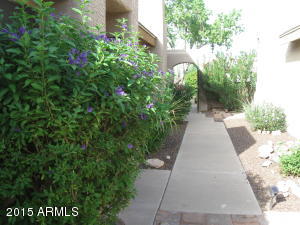 4541 E Wescott Dr, Phoenix, AZ 85050 photo 12