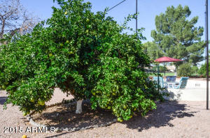 938 S 79th Pl, Mesa, AZ 85208 photo 25