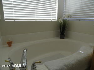 7763 E Sugarloaf Cir, Mesa, AZ 85207 photo 22