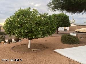 634 N 65th Pl, Mesa, AZ 85205 photo 17
