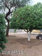 634 N 65th Pl, Mesa, AZ 85205 photo 4
