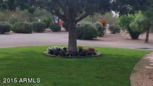 2944 W Shiprock St, Apache Junction, AZ 85120 photo 25