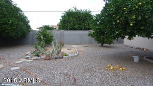 5324 E University Dr, Mesa, AZ 85205 photo 7