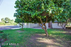 147 E Water Tank Rd, Gilbert, AZ 85296 photo 2