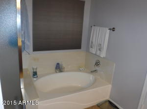 10458 E Jan Cir, Mesa, AZ 85209 photo 13