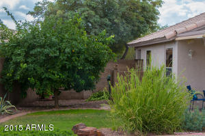 2248 E Avenida Del Sol St, Phoenix, AZ 85024 photo 28
