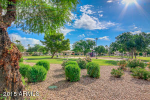 7429 E Lomita Ave, Mesa, AZ 85209 photo 23
