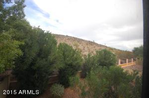 4106 E Mountain Sage Dr, Phoenix, AZ 85044 photo 17