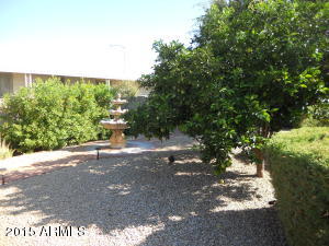 3316 E Beverly Ln, Phoenix, AZ 85032 photo 9