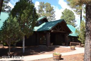 4121 Sugar Pine Loop, Show Low, AZ 85901 photo 41