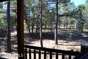 4121 Sugar Pine Loop, Show Low, AZ 85901 photo 33