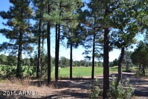 4121 Sugar Pine Loop, Show Low, AZ 85901 photo 44