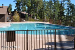 4121 Sugar Pine Loop, Show Low, AZ 85901 photo 47