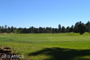 4121 Sugar Pine Loop, Show Low, AZ 85901 photo 43