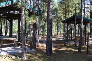 4121 Sugar Pine Loop, Show Low, AZ 85901 photo 40
