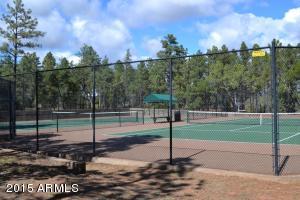 4121 Sugar Pine Loop, Show Low, AZ 85901 photo 38