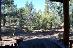 4121 Sugar Pine Loop, Show Low, AZ 85901 photo 34