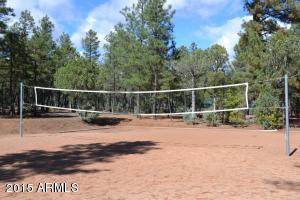 4121 Sugar Pine Loop, Show Low, AZ 85901 photo 37