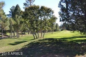4121 Sugar Pine Loop, Show Low, AZ 85901 photo 46