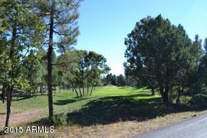 4121 Sugar Pine Loop, Show Low, AZ 85901 photo 45