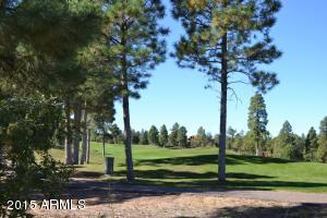 4121 Sugar Pine Loop, Show Low, AZ 85901 photo 42