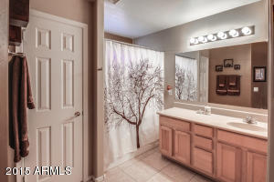 3288 E Warbler Rd, Gilbert, AZ 85297 photo 20