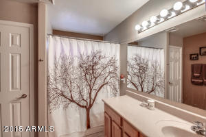 3288 E Warbler Rd, Gilbert, AZ 85297 photo 21