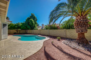 4207 E Taro Ln, Phoenix, AZ 85050 photo 35
